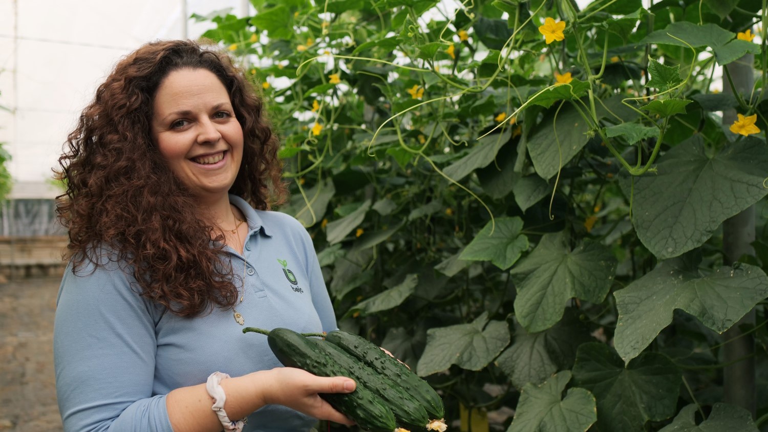 Lola López pepino bejo Pombal|Lola López pepino bejo Pombal|Lola López pepino bejo Pombal